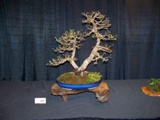 Annual Show 2011 - 23 2011